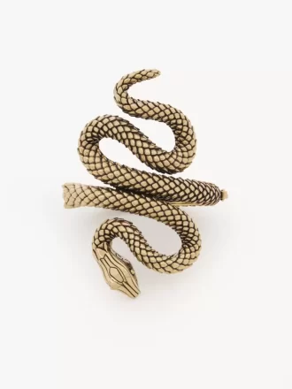 Il bracciale Chloé Snake