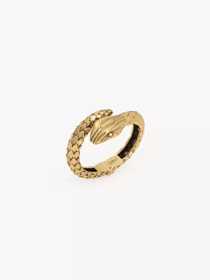 Il bracciale Chloé Snake Il bracciale Chloé Snake
