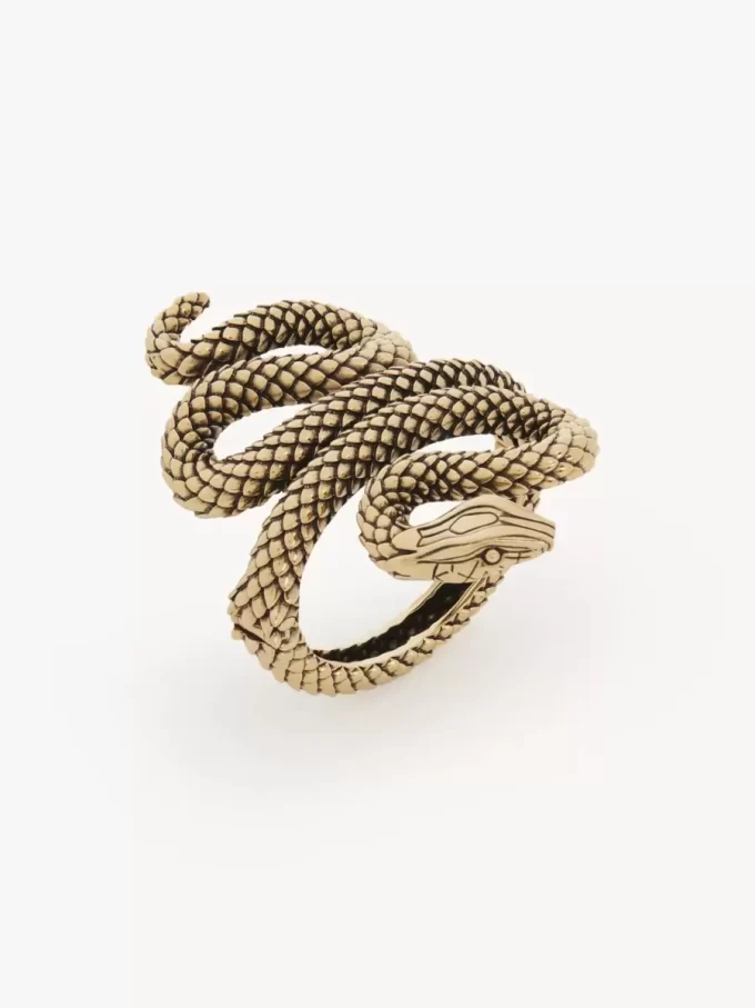 Il bracciale Chloé Snake Il bracciale Chloé Snake