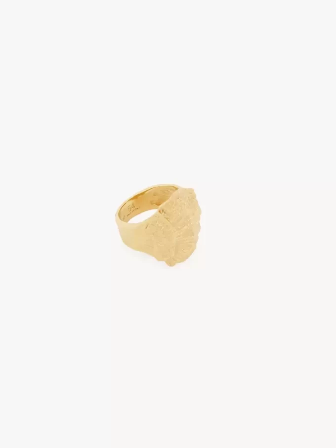 L’anello Chloé Shells L’anello Chloé Shells