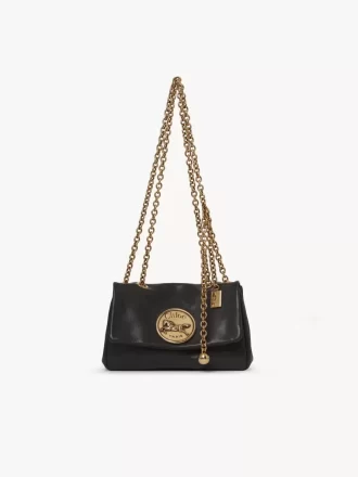Piccola borsa a tracolla Chloé Heritage in pelle martellata