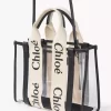 Piccola borsa tote Woody in gelatina e pelle Piccola borsa tote Woody in gelatina e pelle